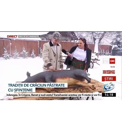 Piatra Soimului Vişeu de Sus