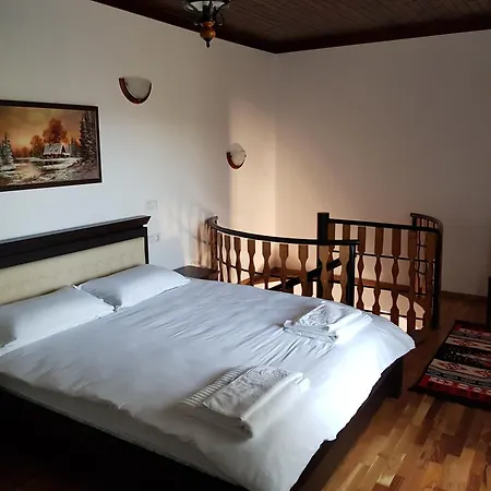 Piatra Soimului Guest house Viseu de Sus