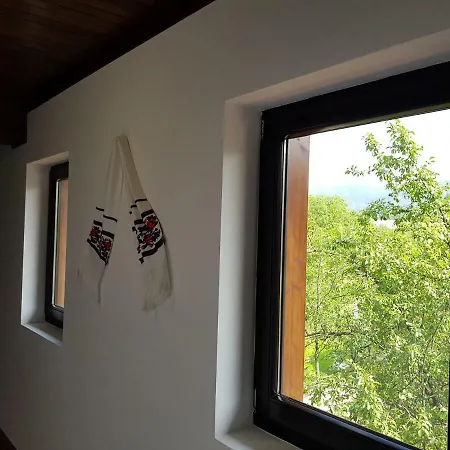 Guest house Piatra Soimului