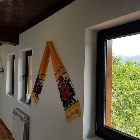 Guest house Piatra Soimului Viseu de Sus