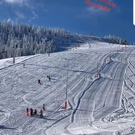 Piatra Soimului 2*