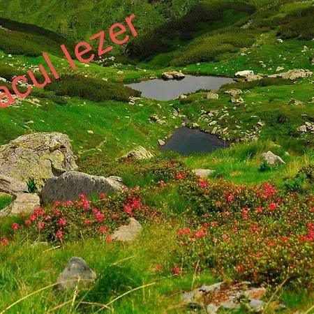 Piatra Soimului Gasthuis Vişeu de Sus